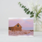 CARTE POSTALE COLORADO SHED (Debout devant)