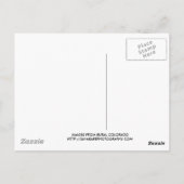 CARTE POSTALE COLORADO SHED (Dos)