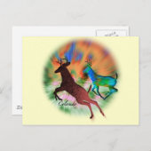 Carte Postale Colorado Wild (Devant / Derrière)