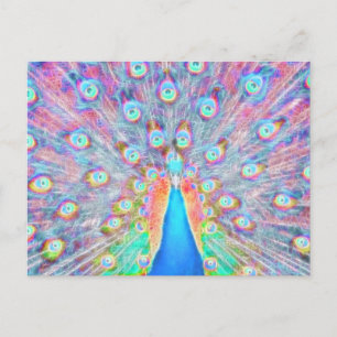 Carte Postale Coloré clair *Peacock* Spirit Design