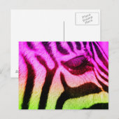 Carte Postale Coloré Funky Zebra (Devant / Derrière)