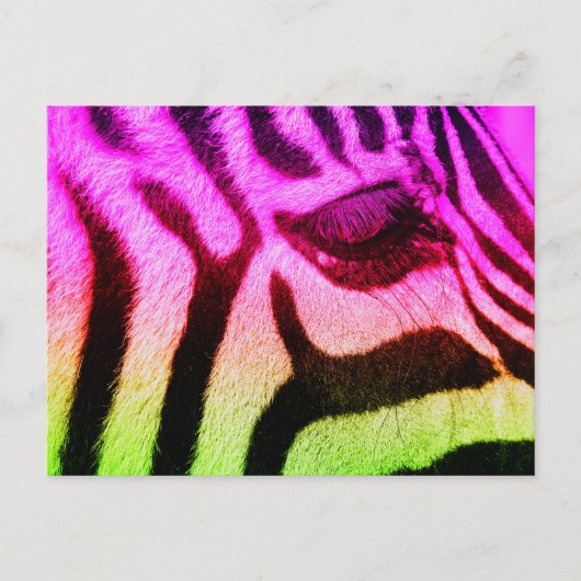 Carte Postale Coloré Funky Zebra (Devant)
