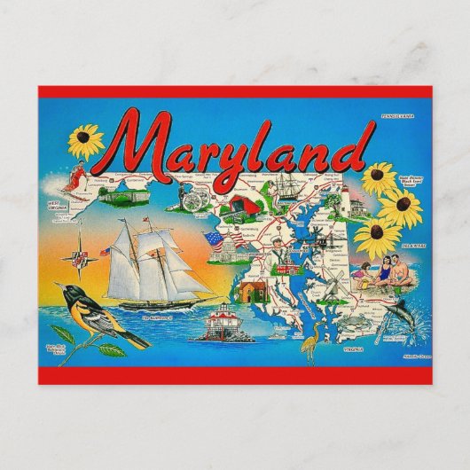 Carte postale colorée du Maryland (Devant)