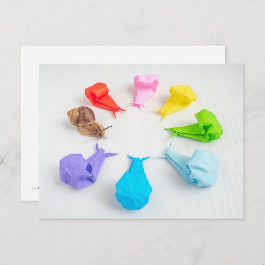 Carte postale Colorée Snails (Devant / Derrière)