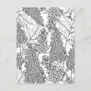 Carte Postale Colorez Vos Propres Fleurs Lilac
