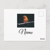 Carte Postale Colorful animal add name photo custom throw (Dos)