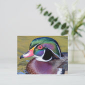 Carte Postale Colorful Duck Close (Debout devant)