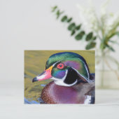 Carte Postale Colorful Duck Close (Debout devant)