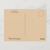 Carte Postale Colorful Duck Close (Dos)
