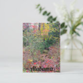 Carte Postale Colorful Fall Tree Collage (Debout devant)