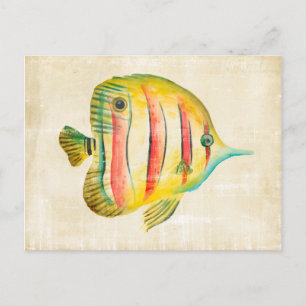 Carte Postale Colorful Fish