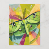 Carte Postale Colorful Luna Moth Painting (Devant)