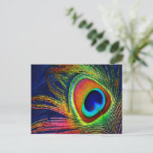 Carte Postale Colorful Peacock Feather (Debout devant)