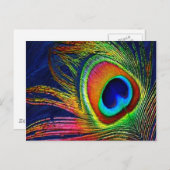 Carte Postale Colorful Peacock Feather (Devant / Derrière)