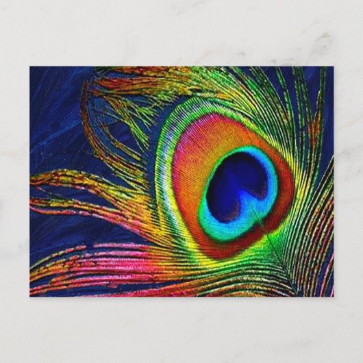 Carte Postale Colorful Peacock Feather (Devant)
