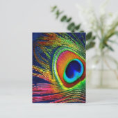 Carte Postale Colorful Peacock Feather (Debout devant)