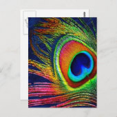 Carte Postale Colorful Peacock Feather (Devant / Derrière)