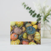 Carte Postale Colorful Pumpkin Postcard (Debout devant)