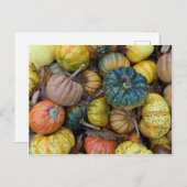 Carte Postale Colorful Pumpkin Postcard (Devant / Derrière)