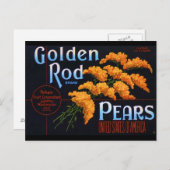 Carte Postale Coloris dorés (Devant / Derrière)