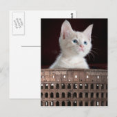 Carte Postale Colosseum grande chatte blanche (Devant / Derrière)