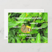 Carte Postale Colossiens 3:12 Vêtez-vous avec compassion (Devant / Derrière)