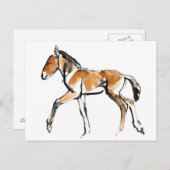 Carte Postale Colt (Devant / Derrière)