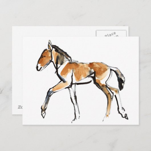 Carte Postale Colt (Devant / Derrière)