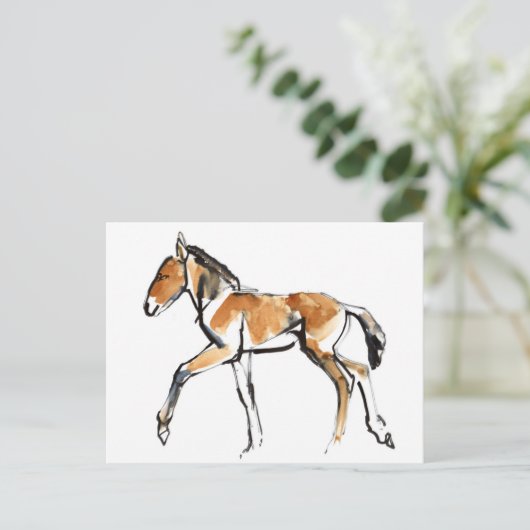 Carte Postale Colt (Debout devant)