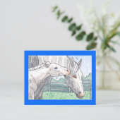 Carte Postale "Colt Baisers 2" (Debout devant)