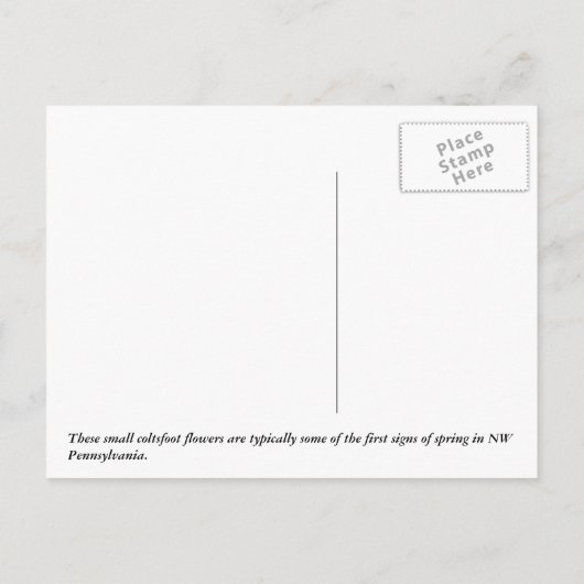 Carte Postale Coltsfoot (Dos)