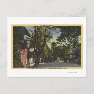 Carte Postale Columbia, Californie - Street Scene