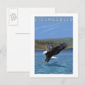 Carte Postale Columbia River, Washington Eagle Diving (Devant / Derrière)