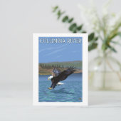 Carte Postale Columbia River, Washington Eagle Diving (Debout devant)