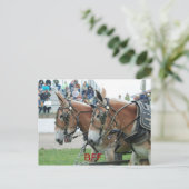 Carte Postale columbia tn (Debout devant)