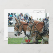 Carte Postale columbia tn (Devant / Derrière)