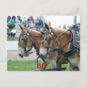 Carte Postale columbia tn (Devant)