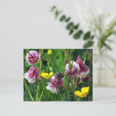 Carte Postale Columbine (Debout devant)