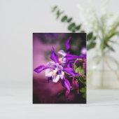 Carte postale Columbine (Debout devant)