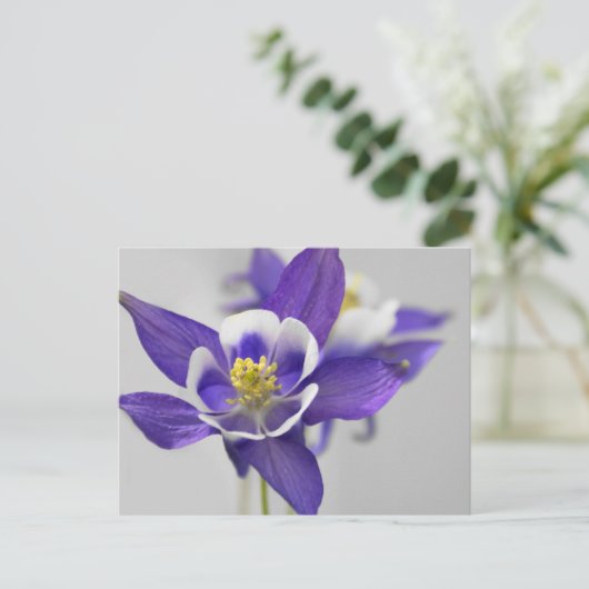 Carte postale Columbine (Debout devant)