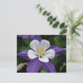 Carte postale Columbine Purple et White Flower (Debout devant)