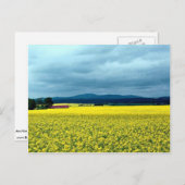 Carte Postale Colza, Angus, Écosse à la Cornouaile riviera (Devant / Derrière)