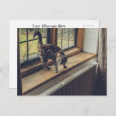 Carte Postale Combien coûte ce Kitty dans la fenêtre ? (Devant / Derrière)