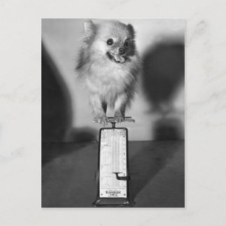 Carte Postale Combien Peser ?