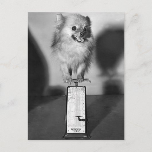 Carte Postale Combien Peser ? (Devant)