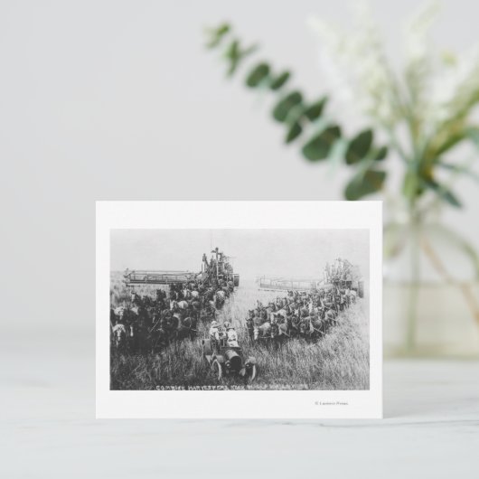 Carte Postale Combiner la scène de moissonneuse (Debout devant)