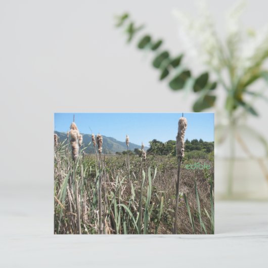 carte postale comestible (Debout devant)