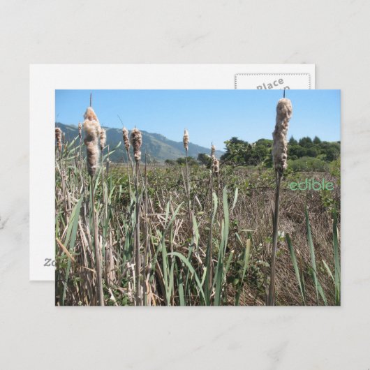 carte postale comestible (Devant / Derrière)