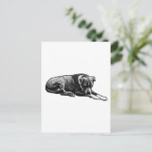 Carte postale Comic-Grain (Debout devant)