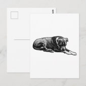 Carte postale Comic-Grain (Devant / Derrière)